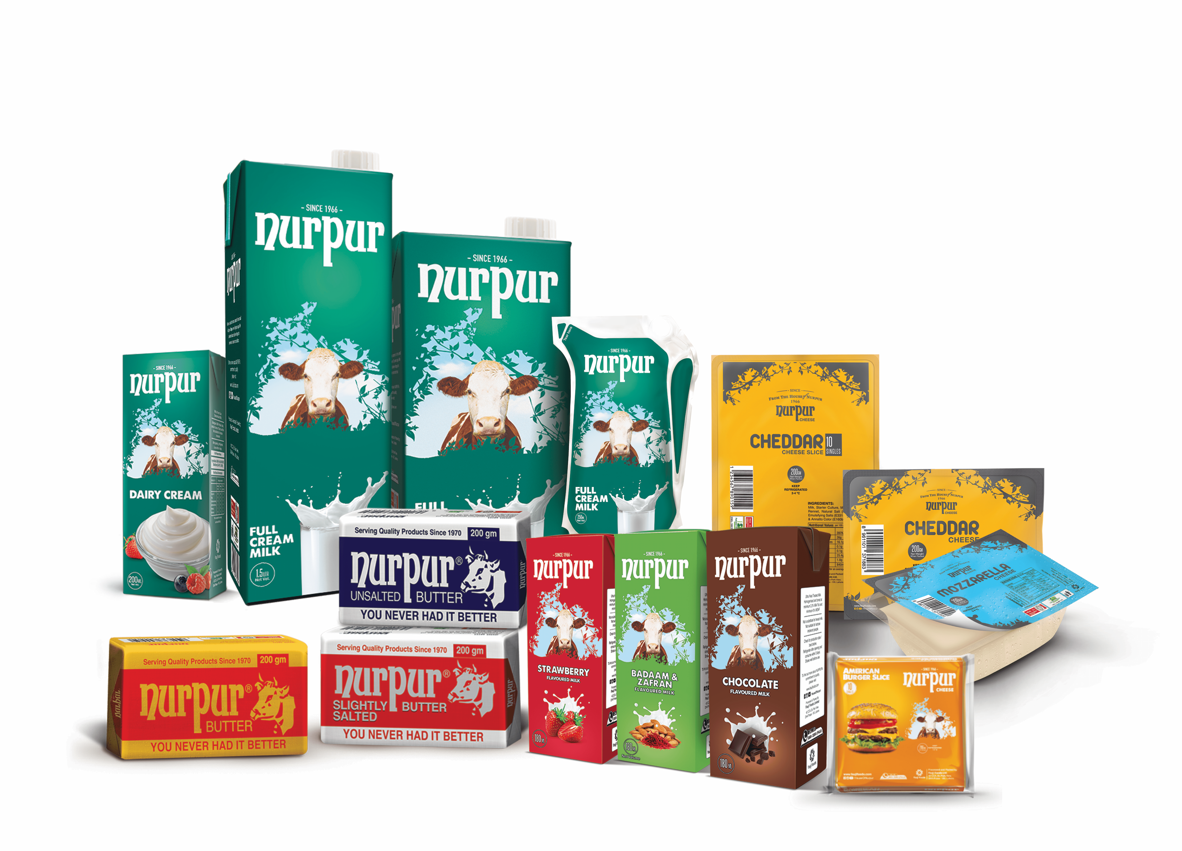 nurpur products